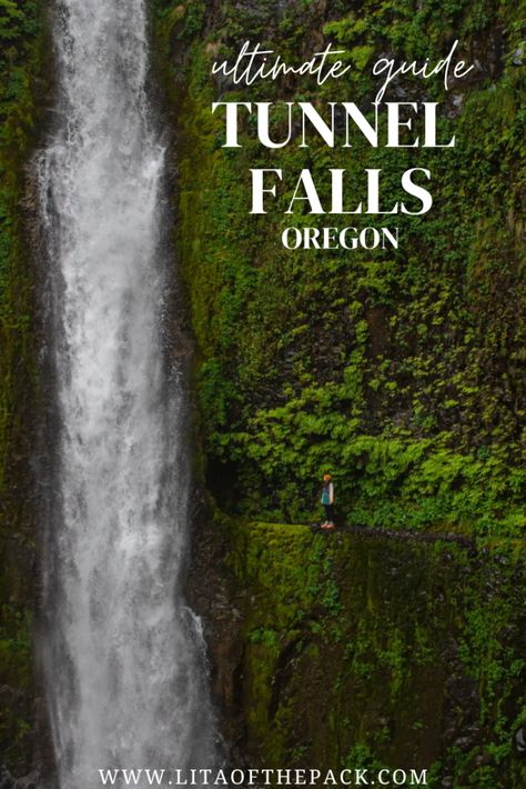 Travel to the heart of the Columbia River Gorge and hike to a magical spot where you walk through a moss covered cave behind a waterfall. Journey to Tunnel Falls in Oregon and see why so many people are talking about this hike. Get your complete guide to the Tunnel Falls trail here including what to expect, the best time to go, and tips for packing! You will be in awe of this magical landscape in the lush Oregon forest. So, add this trail to your bucket list. Behind A Waterfall, Wahclella Falls Oregon, Trail Of 10 Falls Oregon, Tunnel Falls Oregon, Waterfalls In Oregon, Tunnel Falls Oregon Hike, Multnomah Falls Oregon, Magical Landscape, Oregon Forest