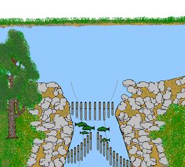 Fishing weir - Wikipedia, the free encyclopedia Survival Fishing, Survival Techniques, Fishing Techniques, Homestead Survival, Survival Food, Wilderness Survival, Survival Tools, Camping Survival, Survival Prepping