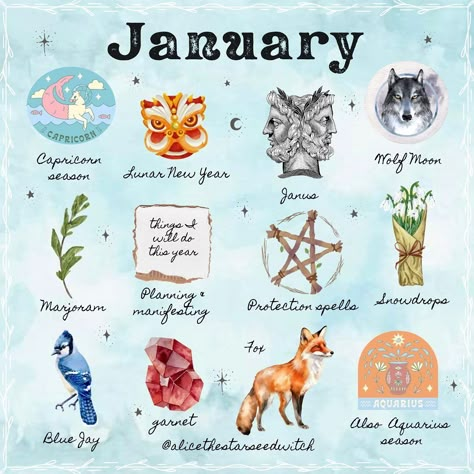 Alice Kendall | JANUARY ✨🌱🐺🌕 January… for some it feels like a fresh new start and for others it’s an anti climax after the buzzing holiday season. Many… | Instagram Birth Month Symbols, Herbal Witch, Pagan Holidays, Hello January, Vernal Equinox, Eclectic Witch, Witch Spell, Protection Spells, Wolf Moon