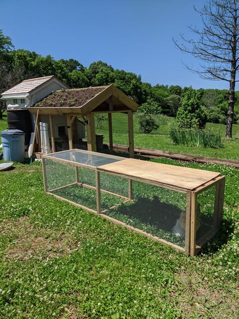 Our "Chunnel" Chicken Tunnel Prototype | Crossley Farms Chunnel Chicken Tunnel, Chicken Chunnel, Garden Alley, Chicken Tunnel, Chicken Tunnels, Farm Building, Cloth Diy, Crazy Chicken, Crazy Chicken Lady