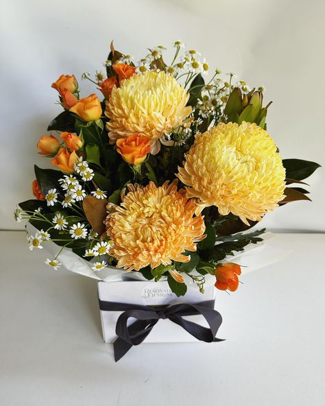 Warm rustic vibes using apricot discuss and orange roses with butufup little matricaria daisy 🌼 #warmwinterdays #sunsinecoastflorist #nambour #coolum #flowerdelivery #sunshinecoast #flowershop Orange Roses, Sunshine Coast, Flower Delivery, Flower Shop, Apricot, Florist, Daisy, Roses, Orange