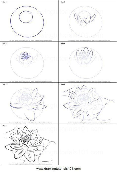 How to draw a flower How To Draw A Water Lily Step By Step, How To Draw A Water Lily, Koi Fish Drawing Step By Step, Watercolor Water Lily, How To Draw Lotus, How To Draw A Koi Fish, Water Lily Drawing, Hur Man Ritar Blommor, Lily Drawing