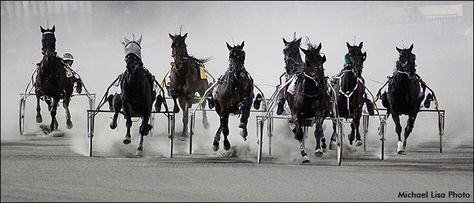 Winter Racing – The Breath of Cold Air | Standardbred Canada Standardbred Racing, Trotter, Winter Olympics, Sochi, Cold Air, Black White Photography, Hall Of Fame, White Photography, Horses