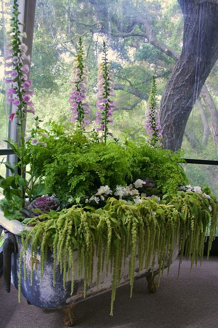 vintage bath tub planter    The designer for the Pasadena Showcase House restaurant, Corianne Bright, put together this lovely planting in an old vintage footed bath tub, it was really lovely. Taman Vintage, Garden Bathtub, Lots Of Plants, Garden Container, Upcycle Garden, Cottage Exterior, Have Inspiration, Garden Containers, The Secret Garden