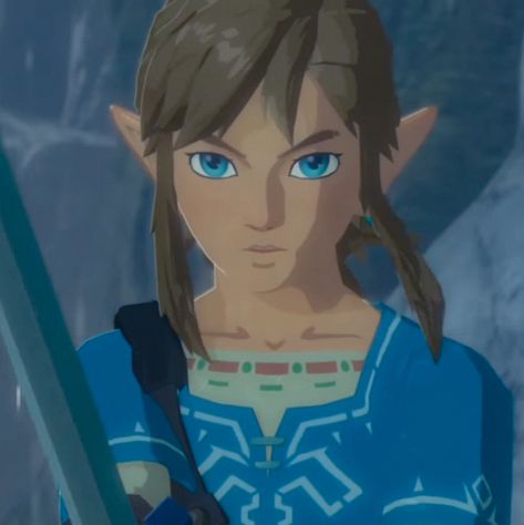 Link Zelda Reference, Link Pfp Zelda Botw, Link Pfp Breath Of The Wild, Loz Breath Of The Wild, The Legend Of Zelda Characters, Link Legend Of Zelda Breath Of The Wild, Zelda Botw Pfp, The Legend Of Zelda Pfp, Link Zelda Breath Of The Wild