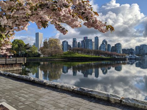 A beautiful still day on Vancouver's seawall. Canada Landscape Photography, Vancouver Wallpaper, Doll Printables, Vancouver Photography, Canada Landscape, Canada City, Buildings Photography, City Planning, Sustainable City