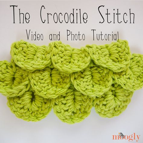 Crochet Crocodile Stitch Pattern, Boy Crochet Patterns, Mattress Stitch, Crocodile Stitch, Crochet Patterns Free Blanket, Fingerless Mittens, Crochet Stitches Tutorial, Crochet Round, Crochet Stitches Patterns