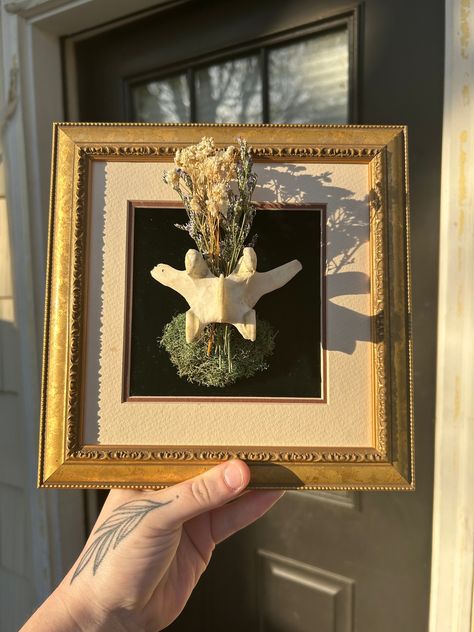 *ALL BONES/TEETH ARE FROM ANIMALS FOUND DECEASED* Bring your gothic and witchy dreams to life with this handmade framed deer bone! Featuring dried flowers, preserved moss an an ethically sourced deer spinal vertebrae piece, this will look great hung in any room! Safe for pet friendly homes and lovers of all things curious and odd. 🖤 Please message me with any questions or for details! BOO-QUET - Handmade Framed Bone Art Deer Bone Vertebrae Animal Bone Taxidermy Art Witchy Gothic Goth Fairycore Diy Oddities Projects, Oddity Artwork, Bone Taxidermy, Bone Decorations, Goth Fairycore, Taxidermy Decor, Fox Skull, Antler Art, Taxidermy Art