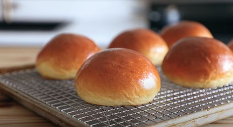 Joshua Weissman Burger Buns, Master the Art of Burger Perfection – Brunch 'n Bites Josh Weissman Burger Buns, Joshua Weissman Burger Buns, Joshua Weissman Recipes, Best Homemade Burgers, Joshua Weissman, Perfect Hamburger, Homemade Burger Buns, Roadhouse Rolls, Burger Buns Recipe