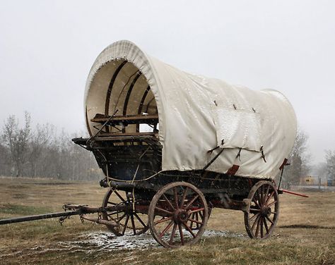 . Outlaw Aesthetic, Pioneer Wagon, Covered Wagons, Woman Photographer, Wagon Trails, Old West Town, Horse Wagon, Wood Wagon, Wild West Show