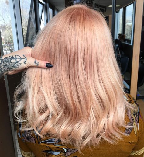 - PEACHES AND CREAM - News Shades EQ Pastel Peach and Pastel Pink 🌸🍑 Perfect Blend for Rose Gold Hair 🙌🏻 #PhBonder #Redken5thave #RedkenFr #RedkenReady #Redken #peachhair #goldhair #rosegoldhair #rosegold #ModernSalon #BehindTheChair @redken @HotOnBeauty @BehindTheChair_com @PhilipWolffhair @ImAllAboutDaHair @ModernSalon @Cute_Tiquetonne @fuckinghair @alix_maya @american_salon Shades Eq Pastel Peach, Neutral Blondes, Peach Hair Color, Mommy Hair, Apricot Hair, Blond Rose, Brown Ombre Hair Color, Peach Hair Colors, Light Strawberry Blonde