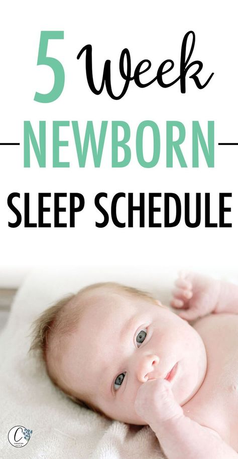 5 Week Newborn Sleep Schedule | Find out how to get your baby to sleep longer stretches at night with this sample baby sleep schedule. You'll also see what a feeding schedule for a newborn looks like and the tools you need to help your baby sleep. #babytips #babysleep Baby Sleep Regression, Bedtime Routine Baby, Baby Sleep Consultant, Newborn Sleep Schedule, Newborn Tips, Newborn Schedule, Sleep Guide, Baby Feeding Schedule, Week Schedule