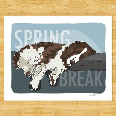 Springer Spaniel Art Print - Spring Break - Funny Dog Pop Art Prints Springer Spaniel Gifts Free Shipping Spaniel Art, Dog Pop, Dog Pop Art, Dog Magnets, Park City Ut, Dog Print Art, Spaniel Puppies, English Springer, English Springer Spaniel