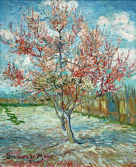 Vincent van Gogh, Pink peach trees (Souvenir de Mauve) | Flickr Vincent Willem Van Gogh, Peach Tree, Arte Van Gogh, Modern Art Decor, Van Gogh Paintings, Peach Trees, Van Gogh Art, Famous Art, Painting Reproductions