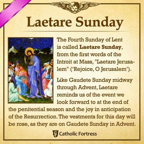 Laetare Sunday Lenten Quotes, Lent Ideas, Catholic Lent, Catholic Theology, Bible Basics, Bible Photos, Catholic Doctrine, Catholic Beliefs, Bible Things