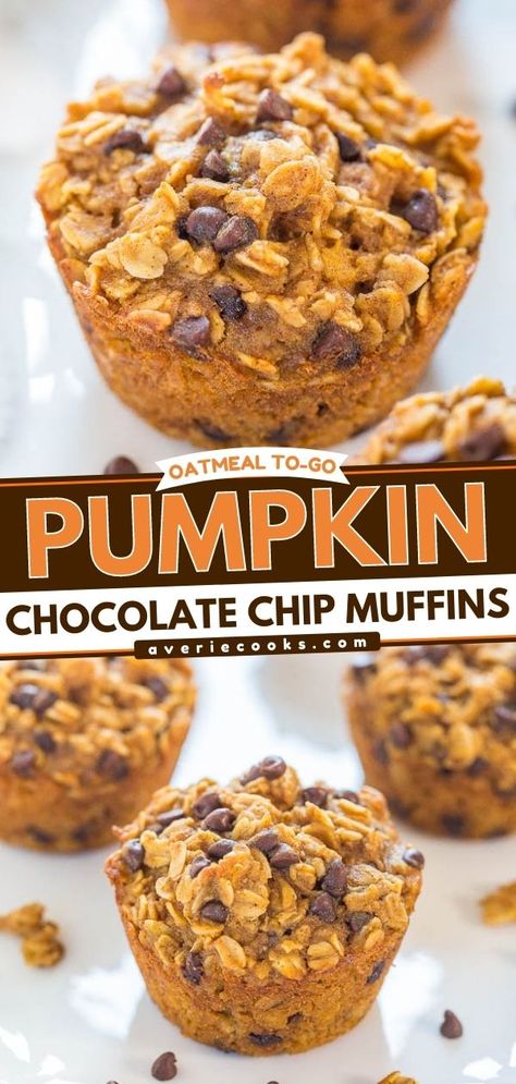 Hearty Oatmeal Pumpkin Chocolate Chip Muffins - Averie Cooks Baked Oatmeal Bites, Pumpkin Oat Muffins, Pumpkin Oatmeal Muffins, Oatmeal Chocolate Chip Muffins, Oatmeal Bites, Pumpkin Oats, Pumpkin Breakfast, Pumpkin Recipes Easy, Fall Baking Recipes