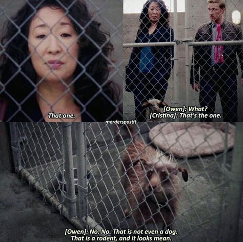 Mrs Rodriguez. Cristina and Owen. EPIC Grey's Anatomy 10x17 Cristina And Owen, If You Want To Be A Shark Greys Anatomy, Greys Anatomy Quotes Christina Yang, Greys Anatomy Quotes Meredith Christina Best Friends, Grey’s Anatomy Relationships, Greys Anatomy Funny, Greys Anatomy Characters, Greys Anatomy Memes, Grey Anatomy Quotes