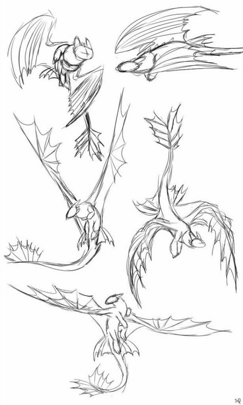 Dragon Poses, Dragon Anatomy, Httyd Art, Dragon Sketch, Creature Drawings, Fantasy Creatures Art, Dragon Artwork, Concept Art Drawing, Arte Sketchbook