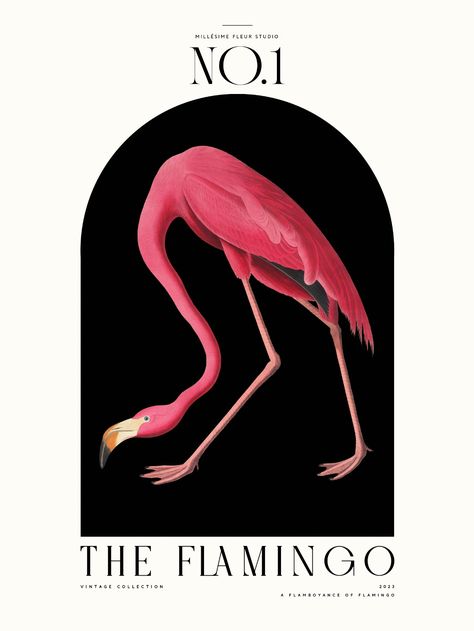 Looking for a stunning piece of wall art to add to your home decor? Check out this beautiful vintage downloadable print featuring a flamingo and modern font branding. With its eye-catching design, this print is the perfect way to add a touch of sophistication and elegance to any room in your home. Download and print it today to enjoy its timeless beauty for years to come. #vintagewallart #flamingoprint #downloadableprint #modernfont #homedecorideas #printableart #elegantdecor Font Branding, Vintage Flamingo, Flamingo Wall Art, Tropical Wall Art, Exotic Bird, Art Tropical, Design Posters, Flamingo Print, Wall Art Vintage