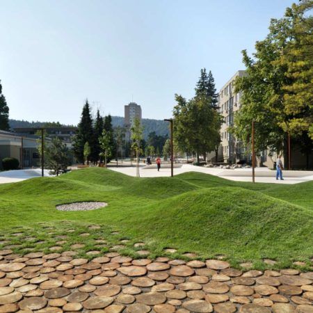 Field Landscape Design, Campus Landscape, Evergreen Garden, Landform, Urban Landscape Design, Park Design, Landscape Elements, Natural Playground, Landscape Design Plans