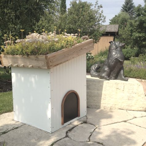 Green Woof Dog House at Reiman Gardens Animal Homes, Roof Gardens, Plant House, Dog Garden, Fun Dog, Diy Yard, Pet Stuff, Roof Garden, Wiener Dog