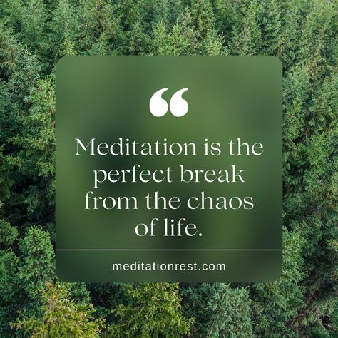 Meditation is the perfect break from the chaos of life.⁠ ⁠ #meditation #mindfulness #innerpeace #relaxation #mindful #yoga #wellness Meditation Quotes Mindfulness, Meditation Quotes, Mindfulness Meditation, Guided Meditation, Inner Peace, Best Quotes, Meditation, Yoga, Mindfulness