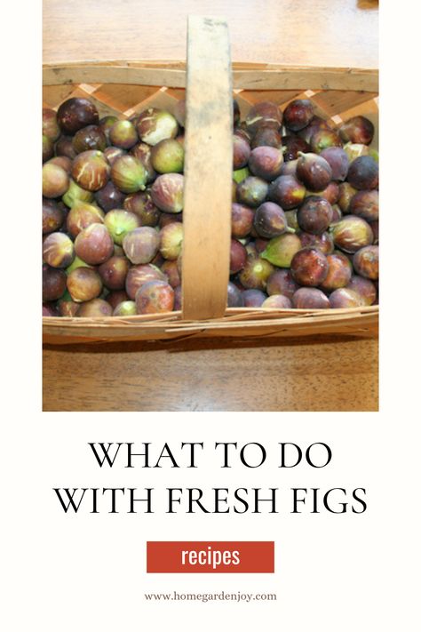 What to do with fresh figs? You can eat them fresh, of course, but how about making them into a cake? Enjoying them as a salad? Or poaching them into a delicious and inviting dessert? A roundup of recipes for fresh figs with links to help you grow your own figs! #figs #freshfigrecipes #recipes via @sevenoaksjeanne What To Do With Fresh Figs, What To Make With Fresh Figs, What To Do With Figs, Fresh Fig Recipes, Fig Recipes Fresh, Figs Recipes, Making Strawberry Jam, Mushroom Compost, Roasted Figs