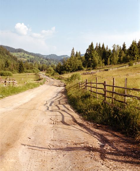 Bogdan on Twitter: "nature on film 🎞️ https://t.co/HxS7FSKjnU" / Twitter Country Film Photography, Nature On Film, Romani Wagon, Romanian Clothes, Romanian Countryside, Mamiya Rb67, Farm Town, Portra 800, European Aesthetic