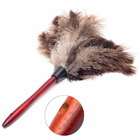 Clue Play, Feather Duster, Cleaning Laundry, Clean Your Car, Cleaning Dust, Autumn Nature, Dust Removal, Ostrich Feather, Dusters