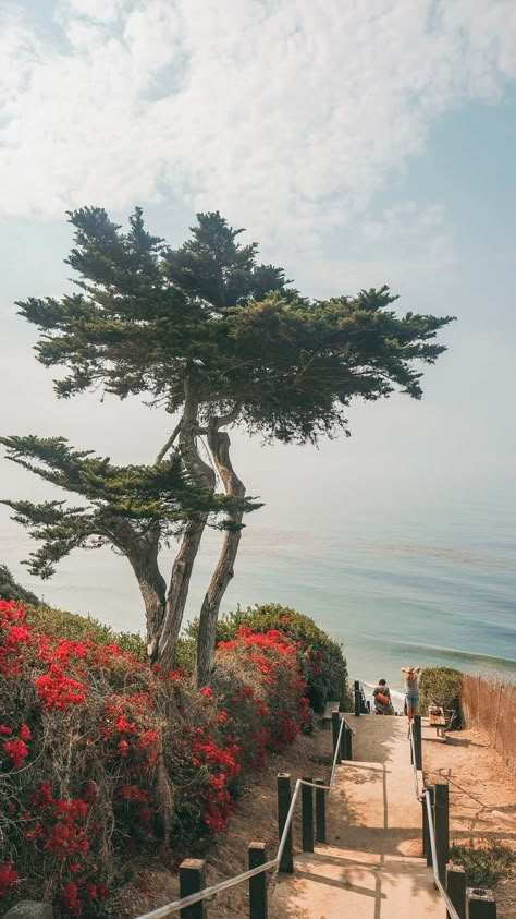 20 Fun Things To Do on a Santa Barbara Day Trip Santa Barbara Vacation, Santa Barbara Itinerary, Santa Barbara Day Trip, Santa Barbara Things To Do, Things To Do In Santa Barbara, Santa Barbara California Aesthetic, Santa Barbara Aesthetic, Old Mission Santa Barbara, California Getaways