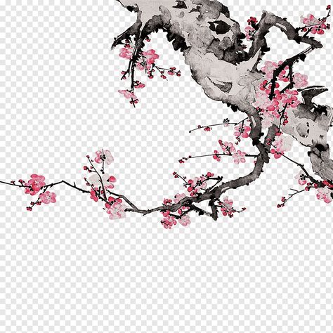 Chinese Plum Blossom, Plum Blossom Painting, Floral Design Drawing, Cherry Blossom Watercolor, Cherry Blossoms Illustration, Rose Flower Arrangements, Chinese Flower, Wash Painting, Ink Wash Painting