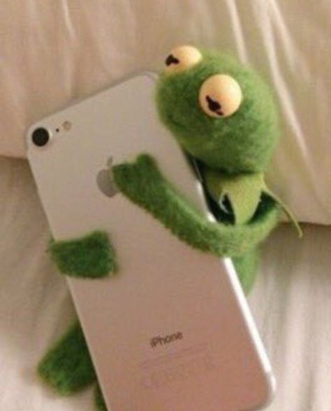 Kermit hugging phone is just so sweet! Sapo Kermit, Kermit Meme, Kermit Funny, Frog Meme, Frog Wallpaper, Cute Love Memes, Kermit The Frog, 웃긴 사진, Reaction Pics