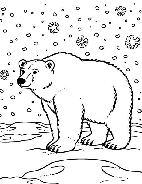 Bear Clipart Black And White, Polar Bear Coloring Pages, Polar Bear Clipart, Polar Bear Coloring Page, Polar Bear Color, Polar Bear On Ice, Polar Bear Drawing, Large Snowflakes, January Preschool