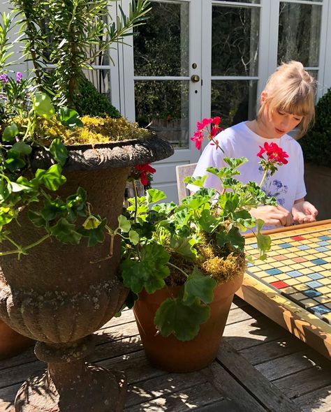 Taylor playing Scrabble is my aesthetic. Estilo Taylor Swift, Swift Photo, Swift 3, Long Live Taylor Swift, Kris Jenner, Live Taylor, Taylor Swift 13, The Games, Taylor Swift Pictures