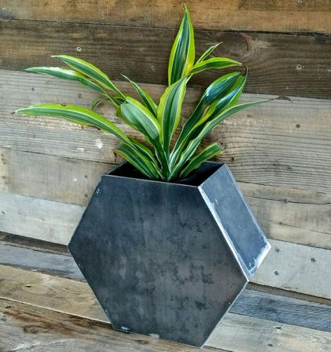 Geometric Box, Metal Flower Pots, Steel Planters, Steel Flowers, Industrial Coffee Table, Contemporary Modern Furniture, Metal Planters, Metal Projects, Plant Shelves