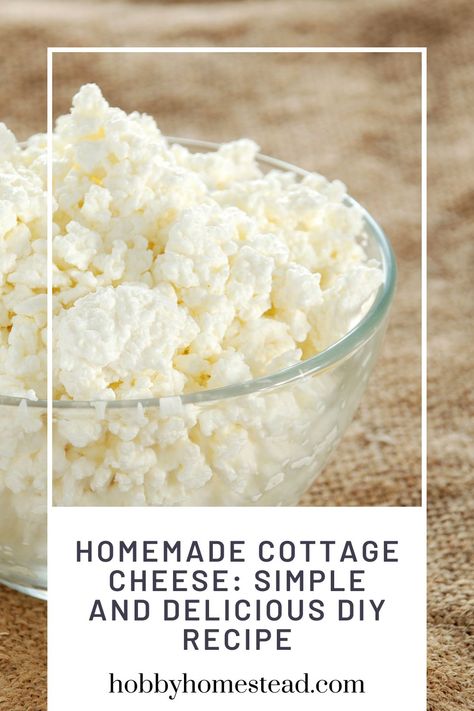 Homemade Cottage Cheese: Simple and Delicious DIY Recipe Home Made Cottage Cheese Recipes, How To Make Cottage Cheese, Dry Cottage Cheese, Home Made Cheese, Homemade Cottage Cheese, Cottage Meals, Cheese Making Recipes, Cheese At Home, Diy Cheese