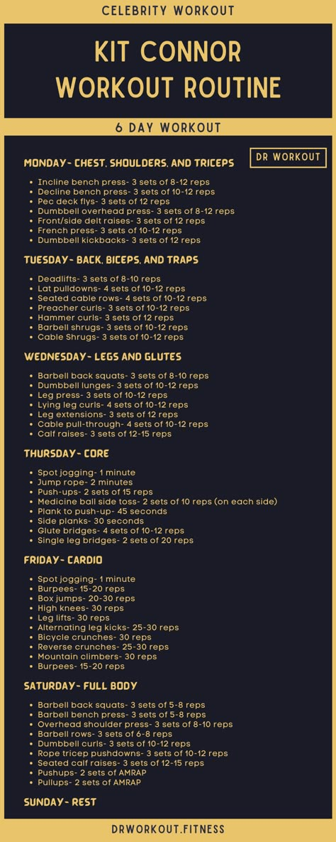 Kit Connor’s Workout Routine Ppl Workout Routine Men, Kit Connor Workout, Aesthetic Workout Routine Men, Kit Connor Gym, Male Beginner Workout Routine, Aesthetic Physique Men Workout Plan, Workouts For Trans Men, Men’s Beginner Gym Workout, Men Workouts