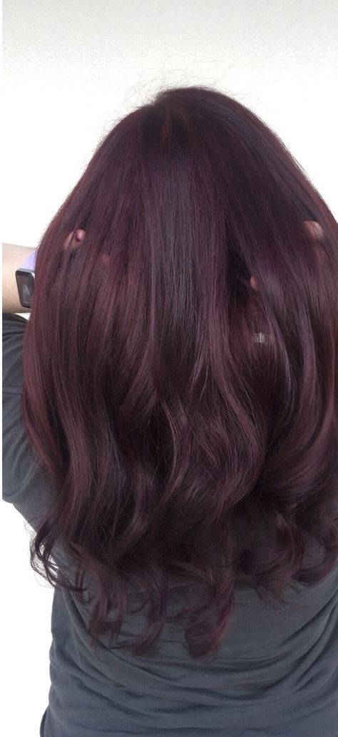 Magenta Brunette Hair, Purplish Red Hair Color, Dark Hair Purple Tint, Violet Copper Hair, Red Hair On Pale Skin, Brown Plum Hair, Deep Mahogany Hair Color, Dark Purple Highlights Brown Hair, Purple Brown Hair Color