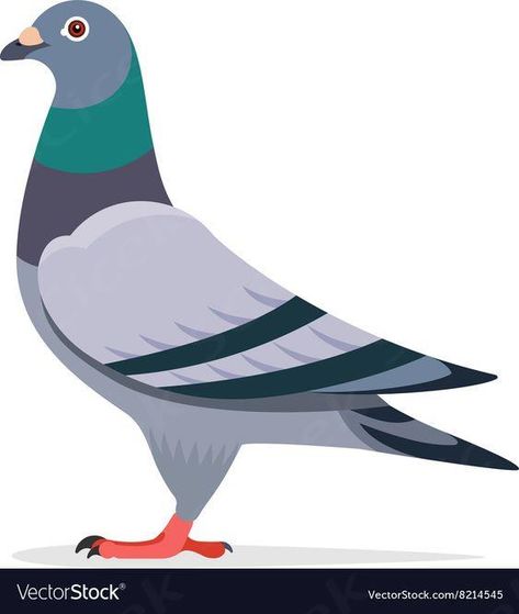 Pigeon Character Design, Pigeon Cartoon, Pigeon Images, Pigeon Clipart, Pigeon Vector, Puppy Activities, Pigeon Character, Pigeon Illustration, Birds Images