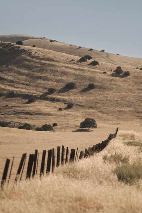 Rural California, California Farm, Alternative Reality, Salinas California, California Hills, California Wallpaper, Food Vibes, California Ranch, Poster Project