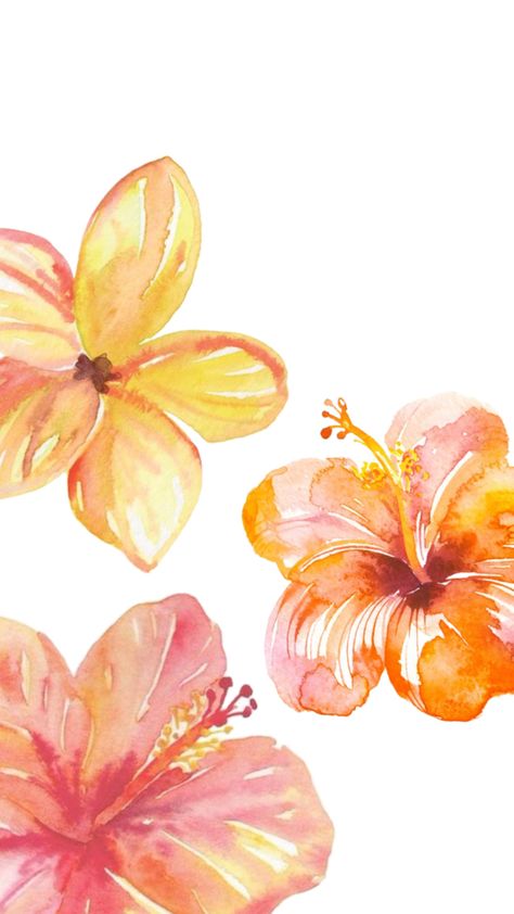 mine Flower Pfp Aesthetic, Bday Wallpapers, Plumeria Wallpaper, Hibiscus Flower Wallpaper Aesthetic, Hibiscus Wallpaper, Summer Prints Wallpaper, Cute Backrounds, Hibiscus Flower Print, Macbook Air Wallpaper