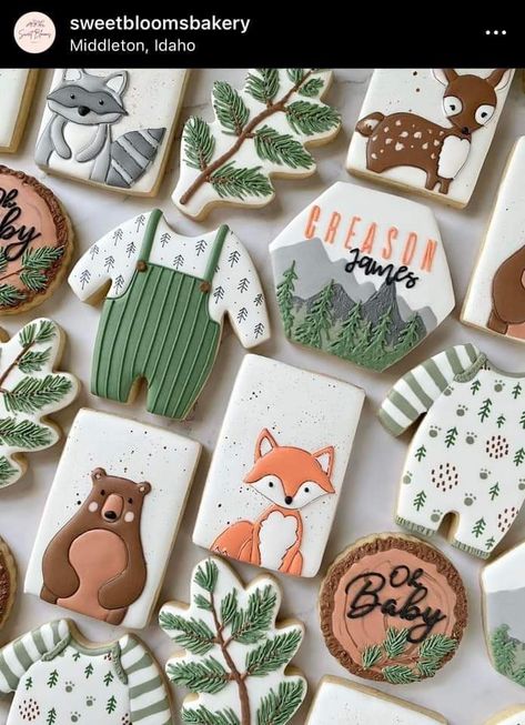 Adventure Cookies, Outdoorsy Baby Shower, Woodsy Baby Showers, Enchanted Forest Baby Shower, Woodland Baby Girl, Baby Boy Cookies, Forest Animal Baby Shower, Woodland Creatures Baby Shower, Forest Baby Showers