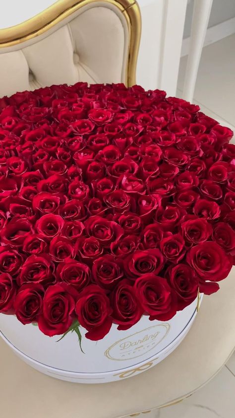 100 rosas!!! in 2022 | Modern flower arrangements, Flower arrangements, Red roses Flower Arrangements Red Roses, 100 Red Roses, Bouquet Of Red Roses, Roses Bouquet Gift, 100 Roses, Rose Flower Arrangements, Red Rose Bouquet, Flower Boutique, Modern Flower Arrangements