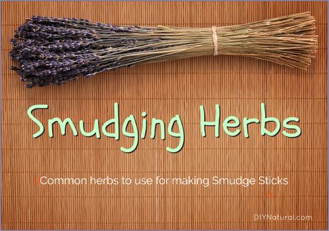 Herbs To Use For Your Homemade Smudge Sticks Herb Tips, Smudge Sticks Diy, Smudging Herbs, Garden Sage, Sage Smudging, Healthy Herbs, Herbal Recipes, Herbal Bath, Herbal Apothecary