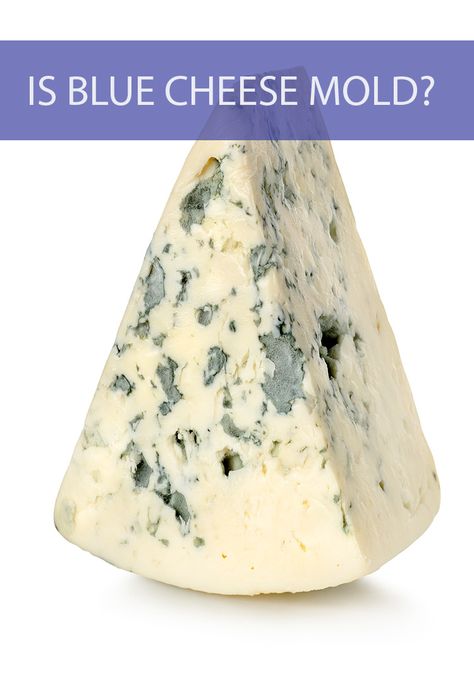 Moldy Cheese, Dairy Recipes, Cheese Mold, Gorgonzola Cheese, Cheese Curds, No Dairy Recipes, Food Facts, Nothing More, Blue Cheese