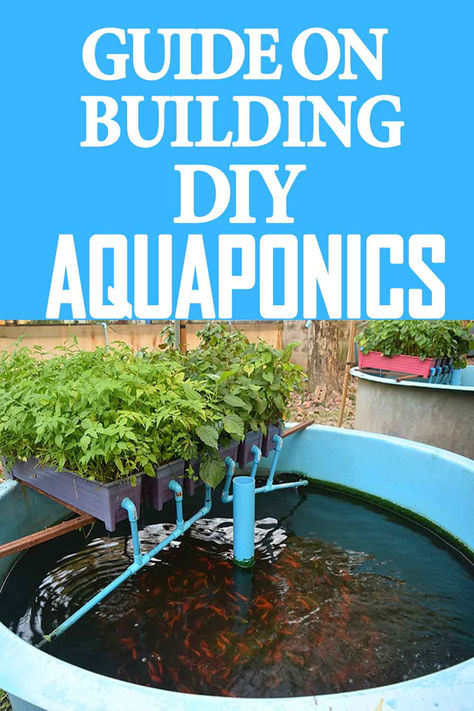 Greenhouse Aquaponics System, Hydroponic Gardening With Fish, Aquaculture Aquaponics, Best Fish For Aquaponics, Diy Plane, Aquaculture Fish, Plane Toys, Recycled Barrel, Diy Aquaponics