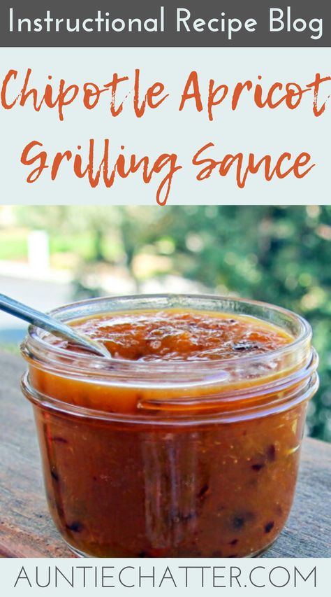 Spicy Apricot Sauce, Apricot Sauce Recipe, Apricot Sauce, Pork Ribs Recipe, Apricot Recipes, Dressing Salad, Bbq Pork Ribs, Bbq Sauces, Chipotle Sauce