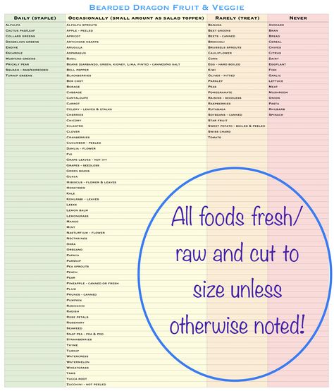 Bearded dragon food chart Bearded Dragon Meal Plan, Bearded Dragon Schedule, Bearded Dragon Food Chart, Bearded Dragon Eating Schedule, Bearded Dragon Salad, Bearded Dragon Feeding, Dragon Enclosure, Dragon Food, Bearded Dragon Enclosure