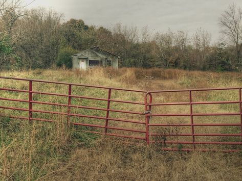 Southern Gothic Aesthetic, Requiem For A Dream, Texas Chainsaw, Head In The Clouds, Southern Gothic, Gothic Aesthetic, In The Clouds, Wasp, Abandoned Places