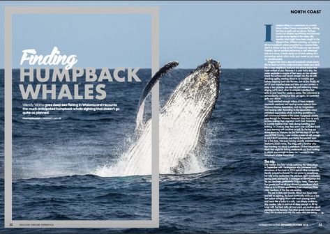 Vintage Magazine Layout, Science Magazine Layout, Wildlife Magazine Layout, Ocean Magazine Layout, Wildlife Magazine Cover, Travel Magazine Layout, Editorial Newspaper Layout, Animal Magazines, Magazine Cover Ideas